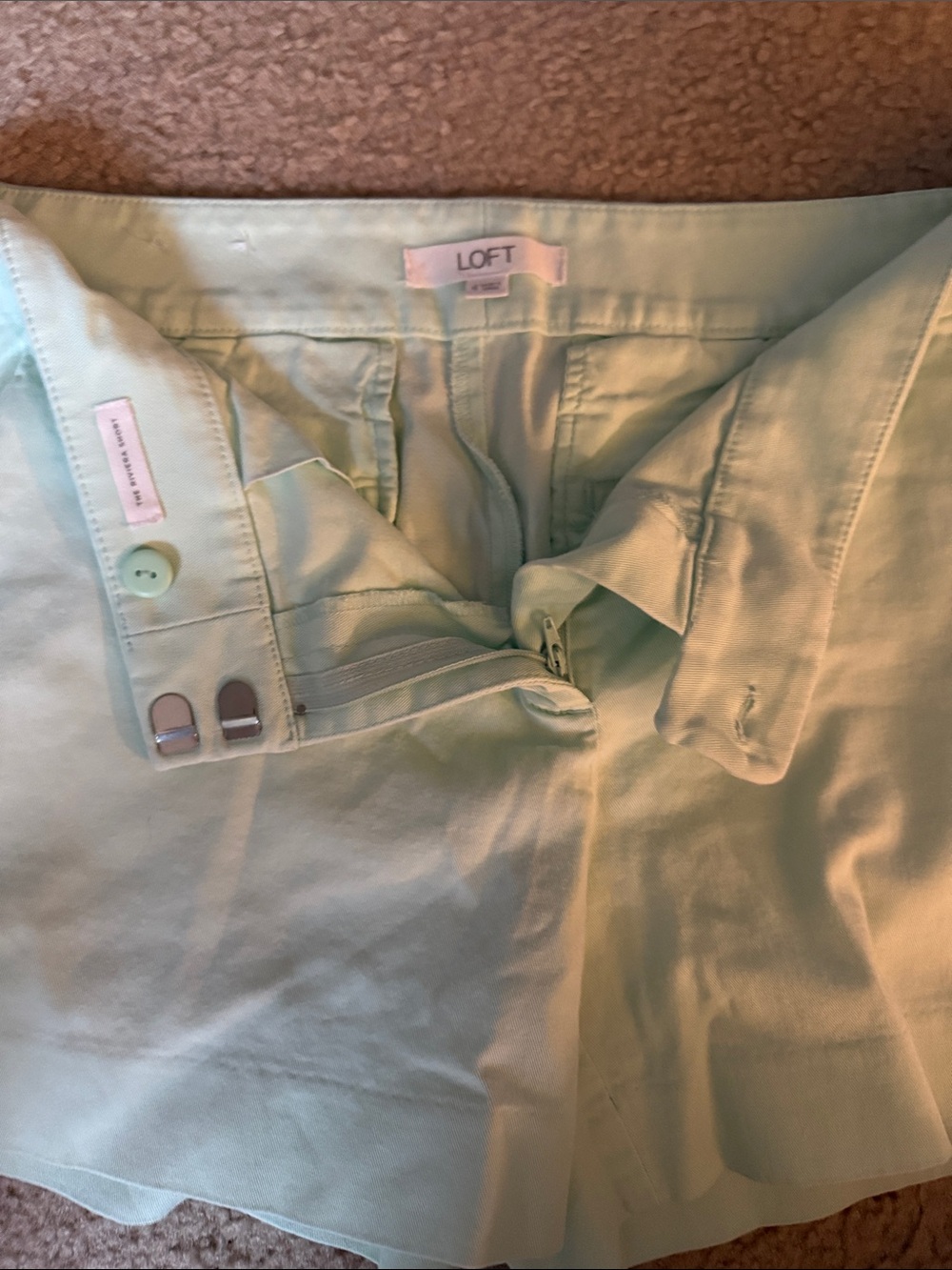 LOFT Pastel Mint A-Line Skirt